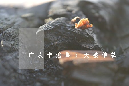 广发卡逾期3天被催款 广发卡逾期3天被催款