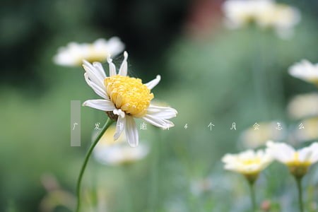 广发卡逾期4个月会怎么样