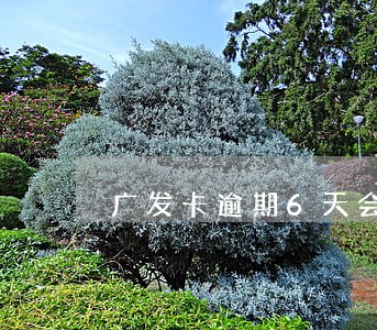 广发卡逾期6天会怎样 广发卡逾期6天会怎样