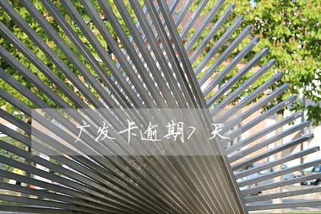 广发卡逾期7天