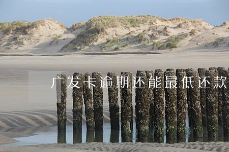 广发卡逾期还能最低还款吗6 广发卡逾期还能最低还款吗6