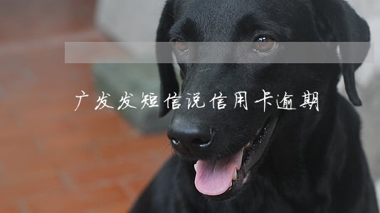 广发发短信说信用卡逾期 广发发短信说信用卡逾期