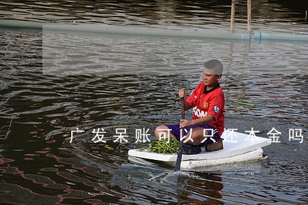 广发呆账可以只还本金吗 广发呆账可以只还本金吗