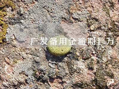 广发备用金逾期1万 广发备用金逾期1万