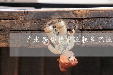 广发房贷提前还款是只还本金么 广发房贷提前还款是只还本金么
