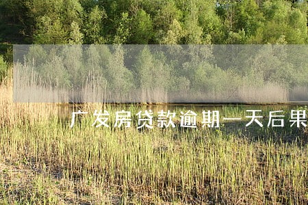 广发房贷款逾期一天后果 广发房贷款逾期一天后果