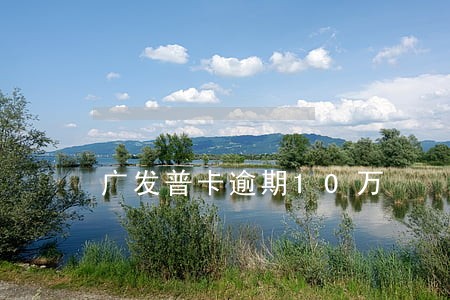 广发普卡逾期10万 广发普卡逾期10万