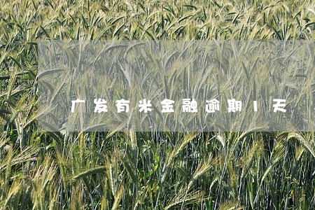 广发有米金融逾期1天 广发有米金融逾期1天