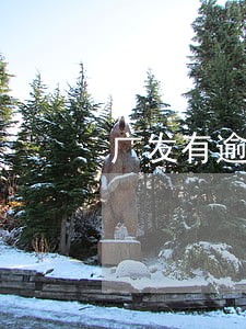 广发有逾期1年的吗 广发有逾期1年的吗