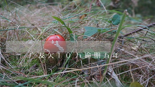 广发欠10万逾期五年 广发欠10万逾期五年