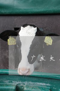 广发欠11万逾期了 广发欠11万逾期了