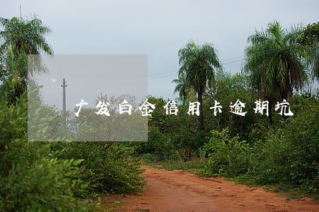 广发白金信用卡逾期坑 广发白金信用卡逾期坑