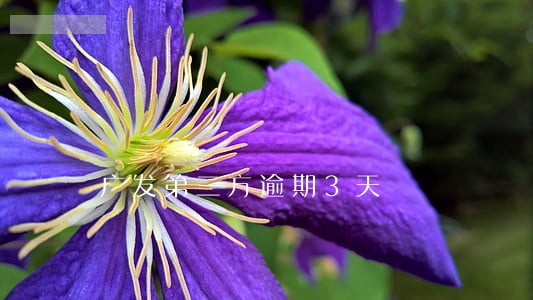 广发第三方逾期3天 广发第三方逾期3天