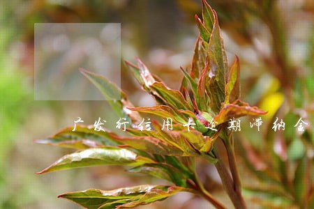 广发行信用卡逾期滞纳金 广发行信用卡逾期滞纳金