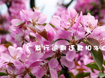 广发行逾期还款扣30 广发行逾期还款扣30