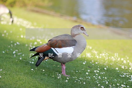 广发财智金逾期2个月 广发财智金逾期2个月