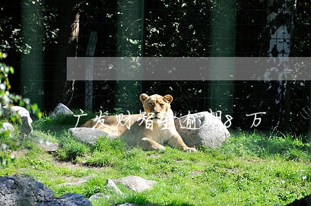 广发财智金逾期8万 广发财智金逾期8万