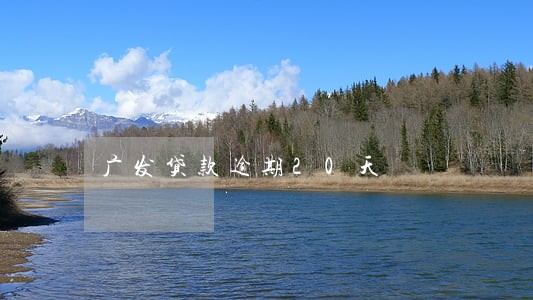 广发贷款逾期20天 广发贷款逾期20天