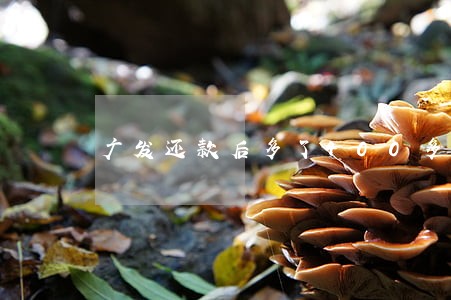 广发还款后多了400多逾期利息 广发还款后多了400多逾期利息