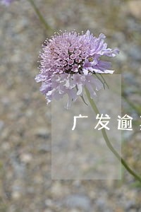 广发逾期10万逾期3个月 广发逾期10万逾期3个月