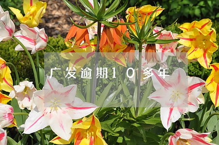 广发逾期10多年 广发逾期10多年