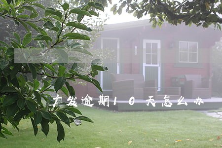 广发逾期10天怎么办 广发逾期10天怎么办