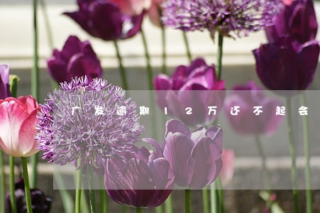 广发逾期12万还不起会怎么样