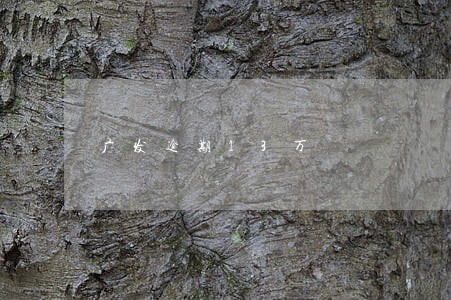 广发逾期13万 广发逾期13万