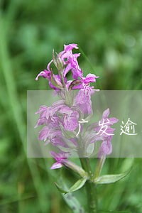 广发逾期13天