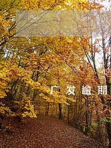 广发逾期15天 广发逾期15天