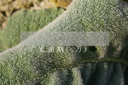 广发逾期1万3 广发逾期1万3
