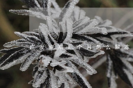 广发逾期1个月怎么解冻 广发逾期1个月怎么解冻