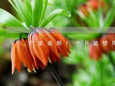 广发逾期1个月能使用吗 广发逾期1个月能使用吗