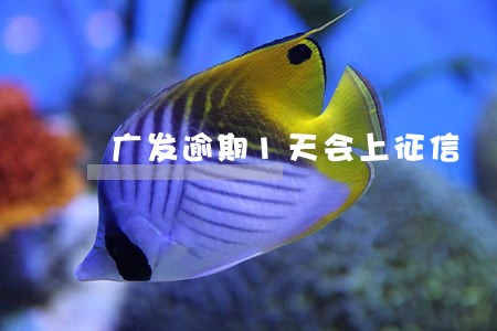 广发逾期1天会上征信 广发逾期1天会上征信