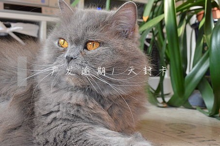 广发逾期1天封卡