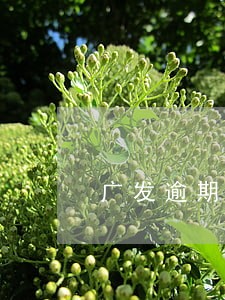 广发逾期1天罚了300 广发逾期1天罚了300
