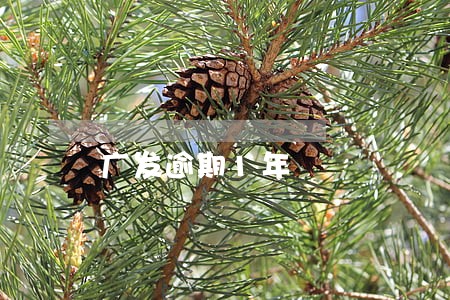 广发逾期1年 广发逾期1年