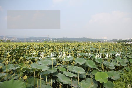 广发逾期20万被判刑 广发逾期20万被判刑