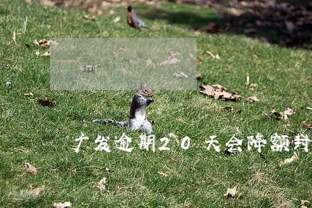 广发逾期20天会降额封卡吗 广发逾期20天会降额封卡吗