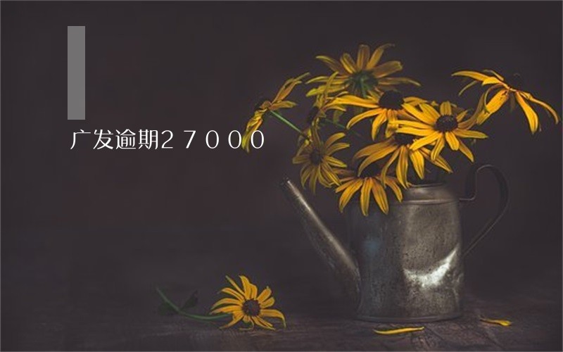 广发逾期27000 广发逾期27000