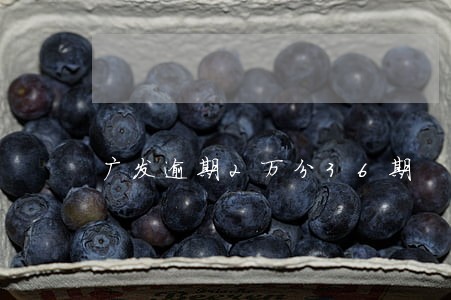 广发逾期2万分36期 广发逾期2万分36期