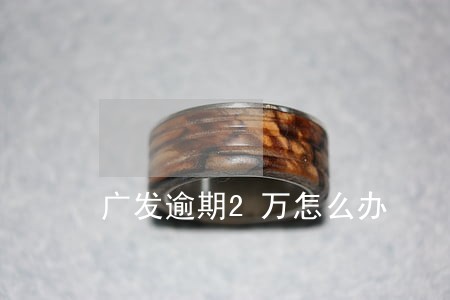 广发逾期2万怎么办