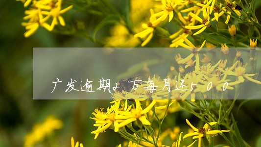 广发逾期2万每月还500 广发逾期2万每月还500