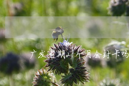 广发逾期2个月会封卡吗 广发逾期2个月会封卡吗