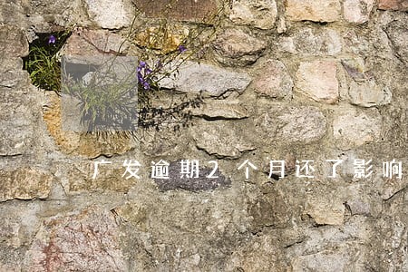 广发逾期2个月还了影响大吗