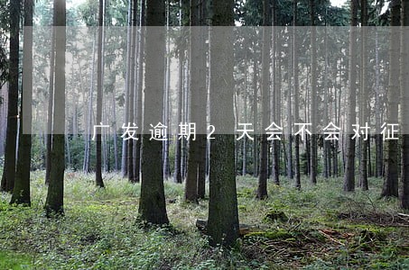 广发逾期2天会不会对征信不好 广发逾期2天会不会对征信不好