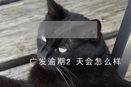 广发逾期2天会怎么样