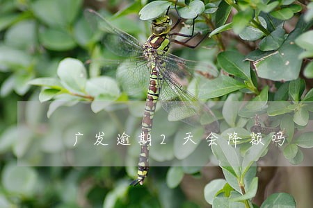 广发逾期2天会降额吗 广发逾期2天会降额吗