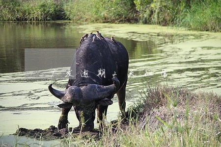 广发逾期2天征信