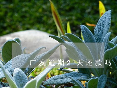 广发逾期2天还款吗